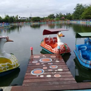 WhatsApp Image 2023-09-06 at 23.31.11